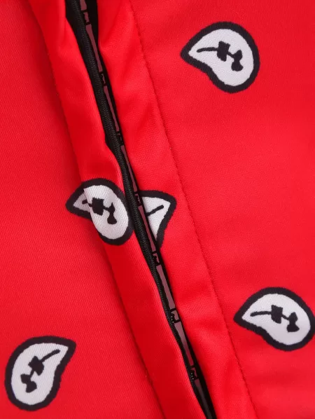 Paisley Print Hook Front Bandeau Corset Top